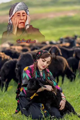 hawler