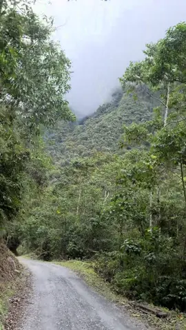 #cumbiaperuana🇵🇪 #rutasperuanas#selva#ruteandoporelperu🇵🇪 