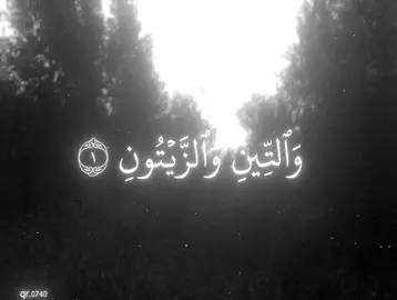 جزء | 30  #تلاوة_خاشعة #fypシ #foryou #ناصر_القطامي #قرآن 