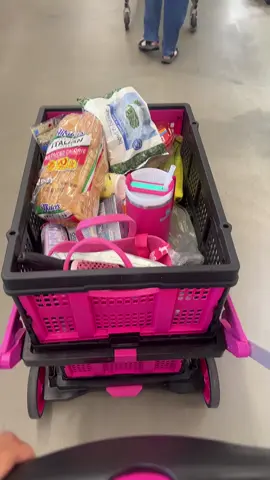 Collapsible Utility Camping Cart for groceries 🛒🌸