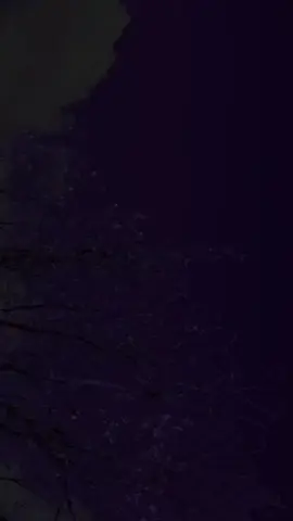 Ada perasaan rindu di separuh malam yang sepi, saat semua orang sedang asyik terlelap.
