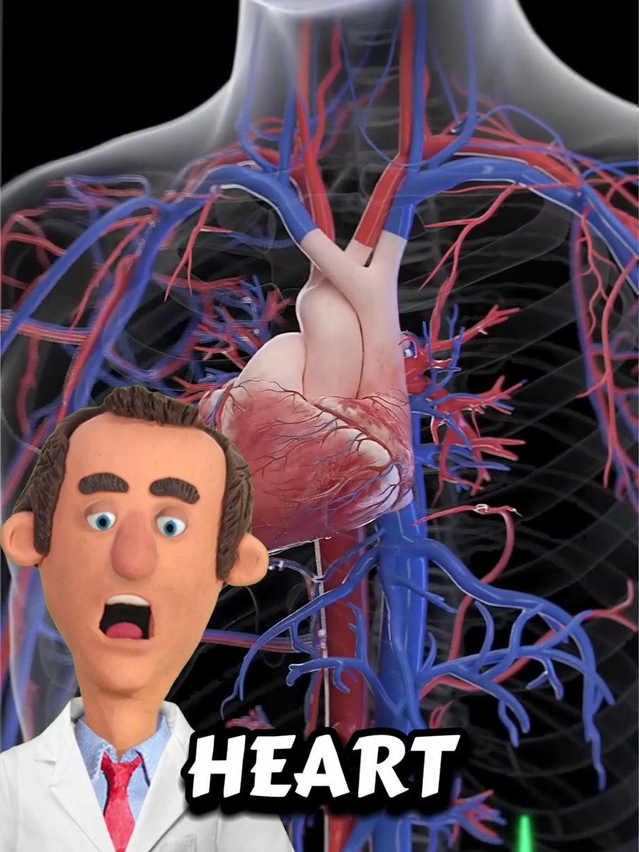 signs that your body is going to have a heart attack #health #healthy #healthtips #DidYouKnow #body 