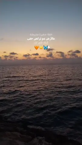 قبلك قلبي كان🧡 #fypシ #elissa #sea #sunset #شعب_الصيني_ماله_حل😂😂 @elissaofficial our love 🧡