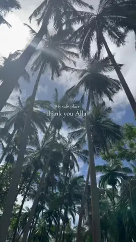 Quand tu vie à la Réunion 🇷🇪 c’est vraiment un autre monde 🌍 et même quand tu pars de l’île tu est tellement triste que tu dois revenir … #lareunion974🇷🇪 #974 #safeplace #pourtoi #fyp 