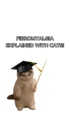 Kitty struggles with Fibromyalgia! #cats #kitties #sillycats #funnycats #fibromyalgia 