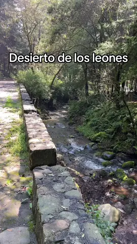 Qué maravilla es vivir tan cerca de la naturaleza y poder disfrutarlo #felicidad #naturaleza #Hiking #bienestar 