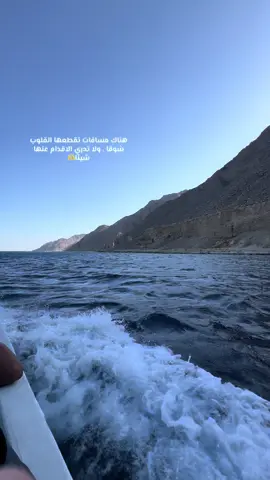 هناك مسافات.تقطعها القلوب شوقا..ولا تدري الاقدام عنها شيئا#explore #dahab #Love #fyp #عمرو_دياب 