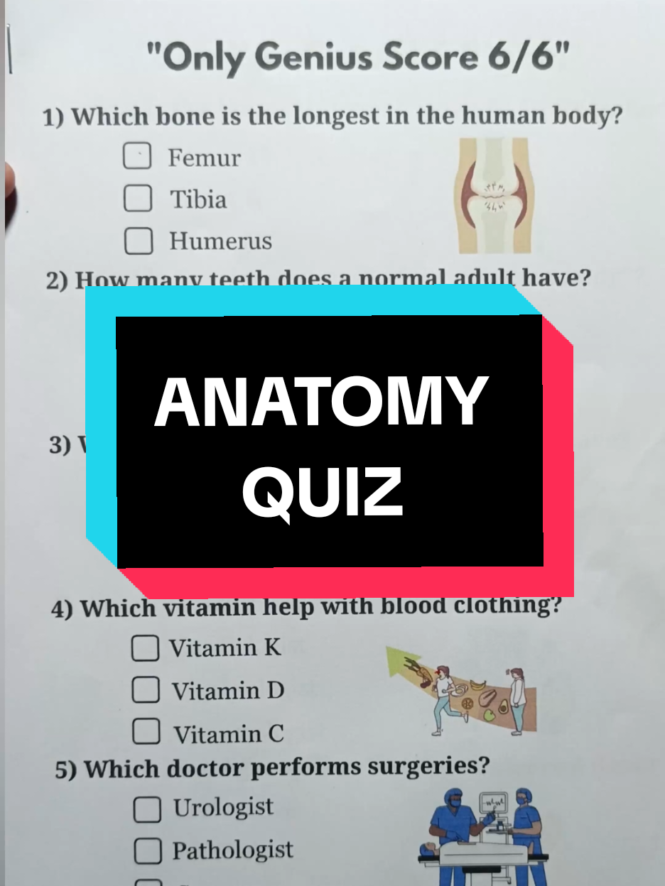 Anatomy Quiz - Can you get 6/6? #quiz #doctor #medicine #LearnOnTikTok #anatomy 