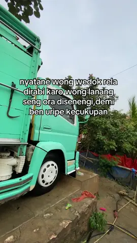 jangan protes ini fakta👌🏼 #fypシ゚ #cantermaniaindonesia #trukstory #foryoupage #viral 