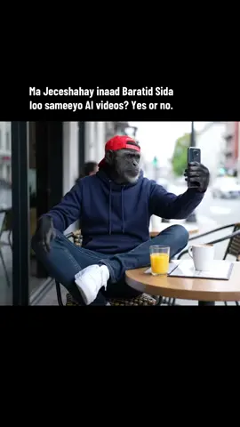 Cashir makasoo diyaariyaa?