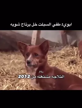 #الشعب_الصيني_ماله_حل😂😂 #الرياض #حركة_إكسبلور #السعودية #الشتاء 