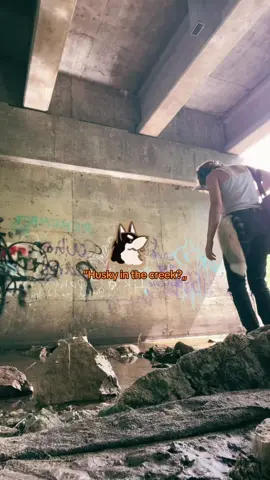 Bow wow XD !! || 🧸ྀི #fyp #therian #husky #theriotype #creek #graffitiart #nature #mask #tail #therianmask #theriancommunity #theriantiktok 