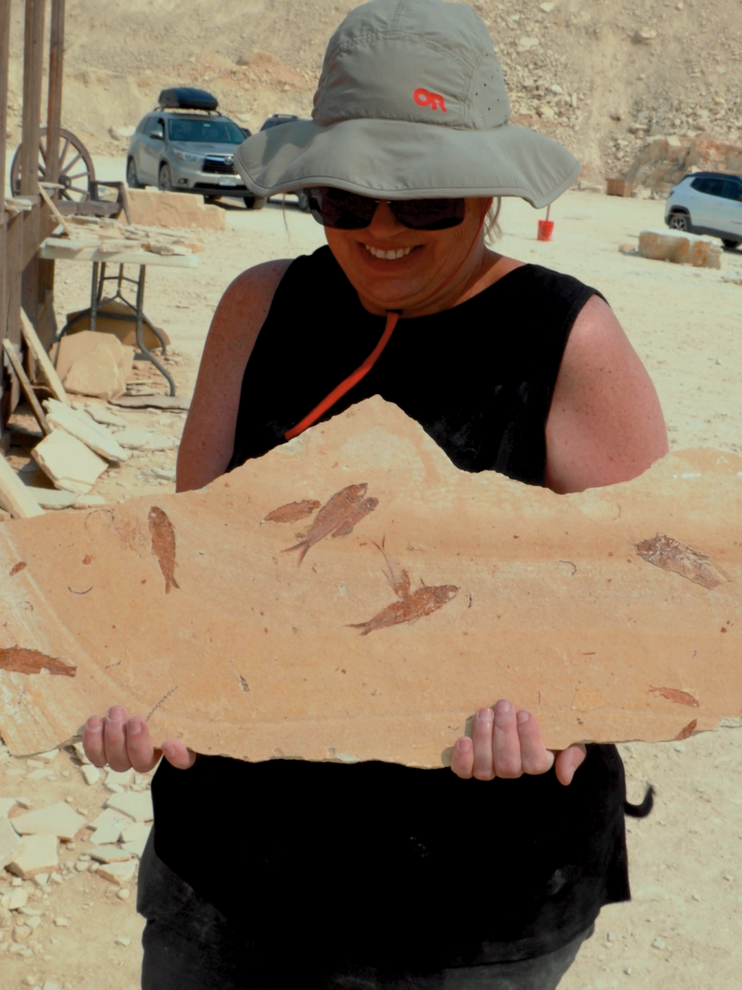 Dig Your Own Fossils ⛏️ Informaton Below 👇 Discover the adventure of a lifetime with FossilEra Adventures at our exclusive Fossil Lake Safari near Kemmerer, Wyoming. Explore one of the world’s top fossil beds, renowned for its stunning collection of beautifully preserved fossil fish. Perfect for the whole family, this experience promises unforgettable moments. Our knowledgeable and friendly staff will guide you every step of the way, ensuring you make lasting memories. And the best part? You get to take home the fossils you uncover! Located: 25 minutes from Kemmerer, Wyoming, 2 1/2 hours from Salt Lake City, 1 hour from Bear Lake and 4 hours from Yellowstone Open: 7 Days a Week – May 24th to Sept 30th Hours: 8:00am to 5:00pm Reservations: Not Required See FossilSafari.com for rates and details #fossilhunting #fossils #fossilsafari #wyoming
