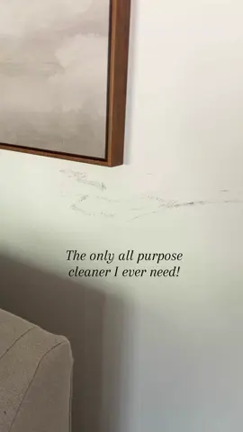 My viral nontoxic cleaner comes and clutch again! Love that this is safe to use for my family as well. Shop it using this link https://amzn.to/41bL6MF