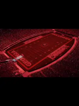 #hypevideo #georgiabulldogs #fyp#footballtiktok 