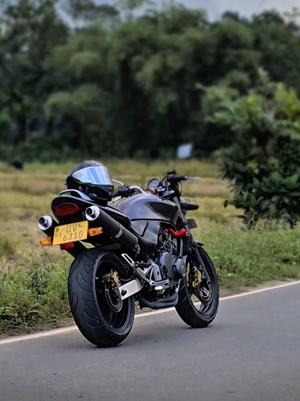 රෝස පෙම්බරී 🥺❤️ #hornet #hornet250lover🐝🥰  #bee-zy @Senzer Acc Store 🚀👑🎮 