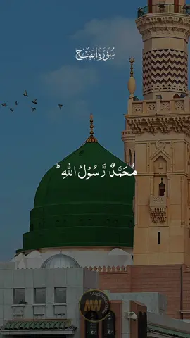 #CapCut #creatorsearchinsights #Love #islam #lovemuhammadsaw 