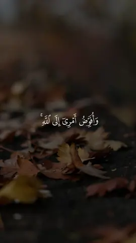 إن الله بصير بالعباد 🩵 #قرآن #راحة_نفسية #قران #احمد_العجمي #quran
