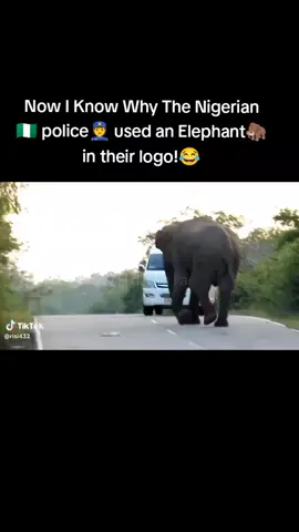now you understand why. #goviral #animalsoftiktok #funny #viral 