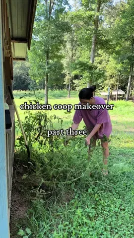 a workout AND knocking off the to do list? Say less 💅 I wrapped up the first coat of paint on the chicken coop and it was killer for the upper bod 💪🏼 my postpartum bod needed the sweat 😅 How long after baby are we waiting to start judging ourselves? #chickencoop #diyproject #postpartumbody 
