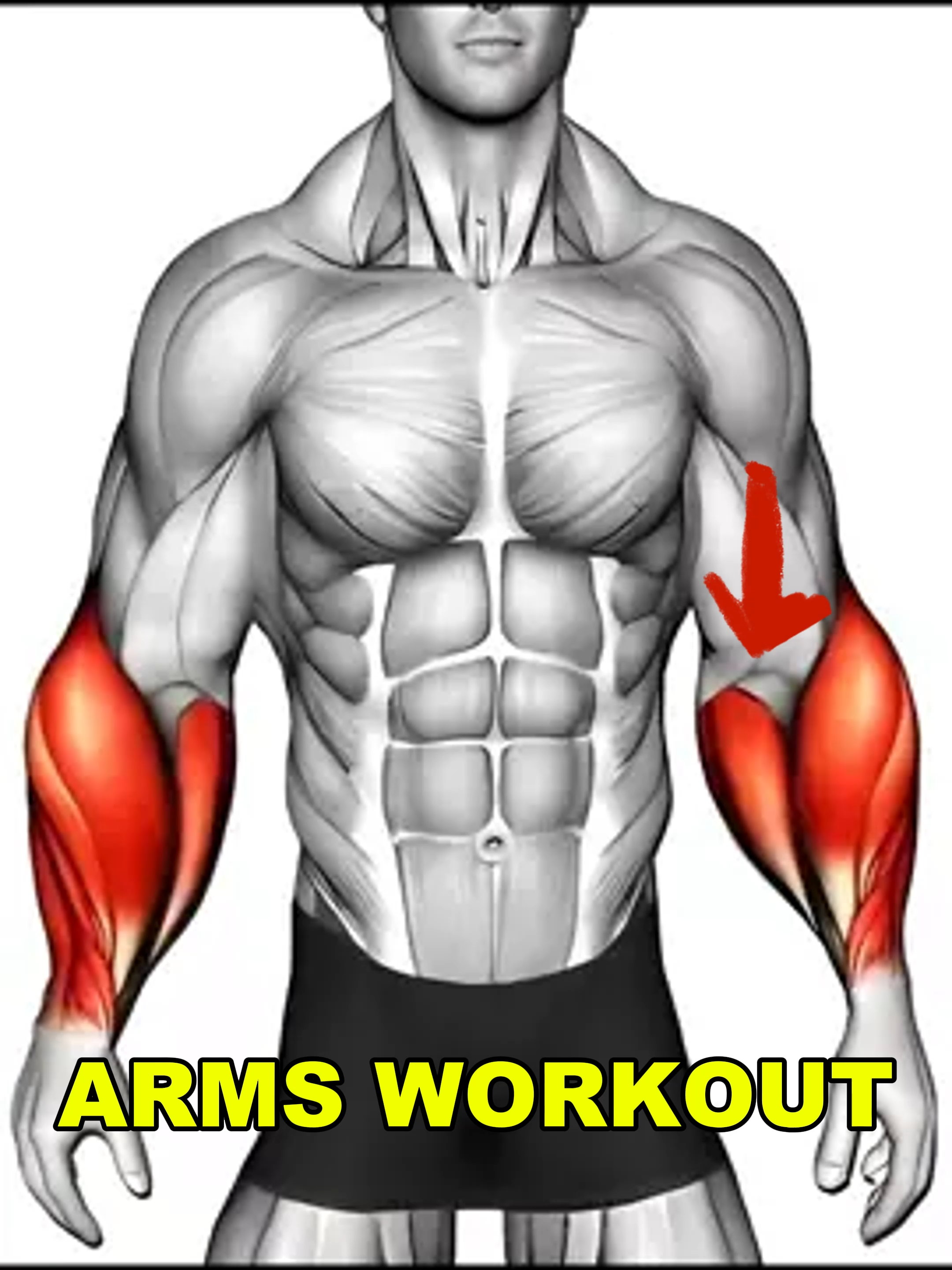“Quick 5-Minute Arm Blast” #tiktok_uk #workoutmotivation #Fitness #GymTok #exercise #legworkout #gym #chestworkout #absworkout #shoulders #backworkout #weightlosstransformation #viral #biceps #triceps #fyp #foryou #motivation