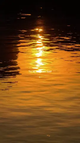 Nectar Woode - Home Again  #newsongs #newartist #fyp 