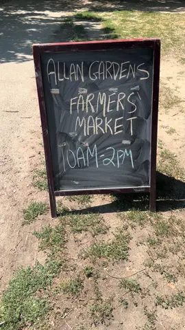 Allan Gardens Farmers/Artisan Market every Sat 10-2pm #fypシ゚ #torontolife #torontoartisan 