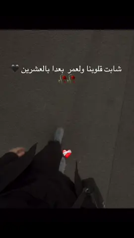 #فيينا_النمسا🇦🇹🇦🇹🇦🇹🇦🇹_عرب_اوروبا #foryoupage #fypシ゚ #fyp #الشعب_الصيني_ماله_حل😂😂 