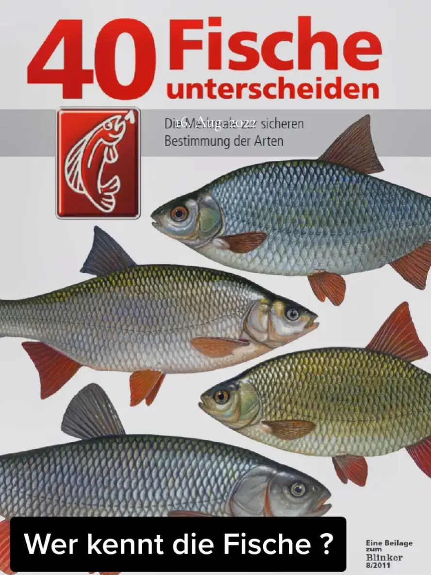 #angeln #fische #erinnerung 
