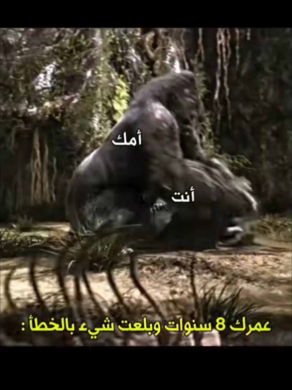 #حربكه #تصاميم #تصاميم #تصاميم #تصاميم 
