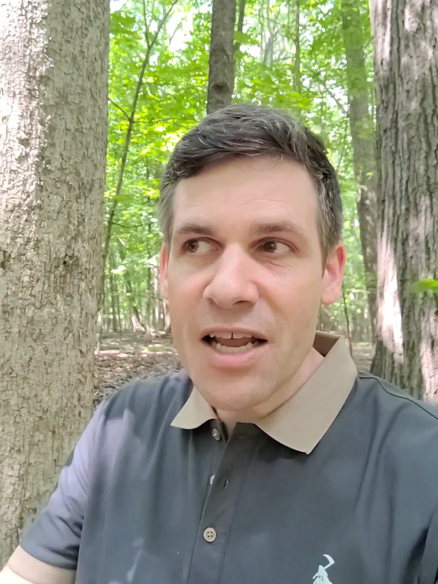 The 3 primal reasons slow walkers trigger rage #anger #psychology #funny 