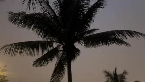 #طبيعة #ليل #salalah🇴🇲 #عمان أجر لي ولكم✨✨