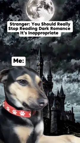 #Meme #darkromance #BookTok #booknerd 