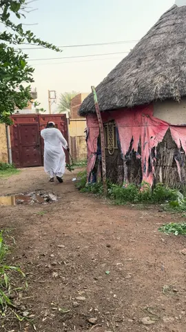 #القوات_المسلحة_السودانية🦅🇸🇩🦅 #قضارف_الخير #الاولاد_سافرو #تيم_الجموعي_المايسترو 