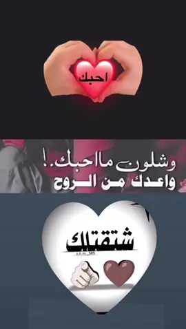 #احبك🌹❤️🌹 