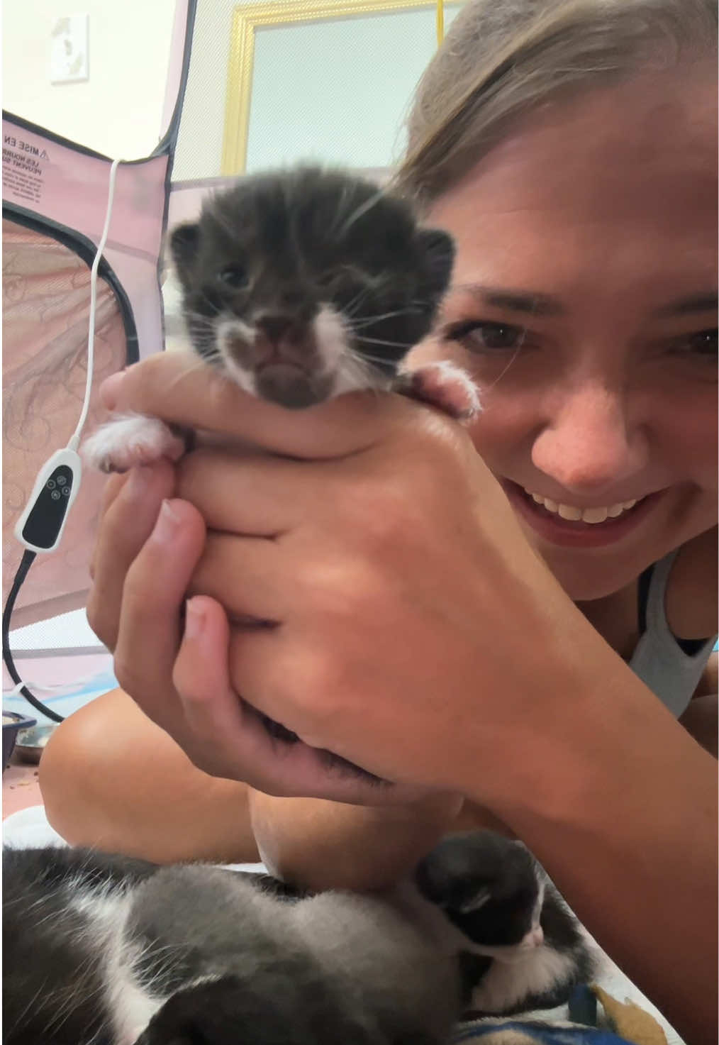 Keepers creepers take a look at those peepers! #kittens 
