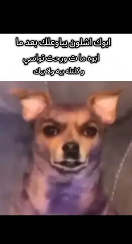 حقيقي جدا جدا جداً جدا جدا جداً جدا جدا جداً جدا جدا جداً جدا جدا جداً جدا جدا جداً جدا جدا جداً جدا جدا 😹😹😹😹😹😹😹😹  🙏 #الشعب_الصيني_ماله_حل😂😂 #مابيه_حيل_اخلي_هاشتاكات🧢🧢 #ميمزاوي_ميمز_العرب #ميمز_العظمه #شيتبوستر_راقي 