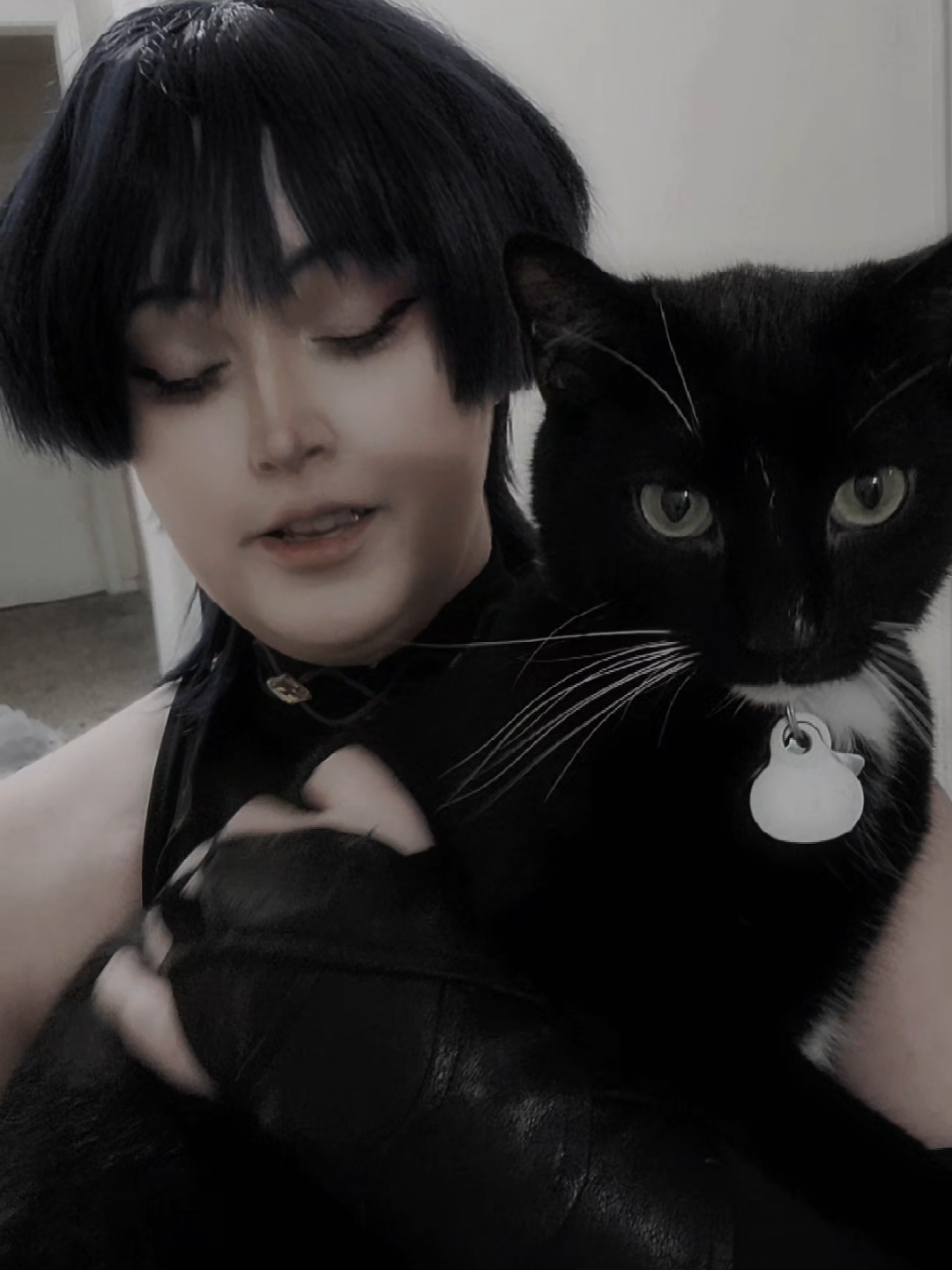 I have the one and only scarameow #wanderercosplay #scaramouche #scaramouchecosplay #GenshinImpact #genshinimpactcosplay 