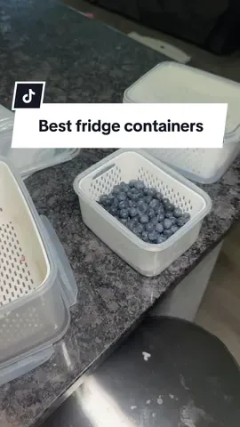 Replying to @Jen23 with kids back in store this has been a time saver for cold lunches and snacks. #fridgeorganization #fridgerestock #tiktokshoplabordaysale #tiktokshopcreatorpicks #fruitbasket 
