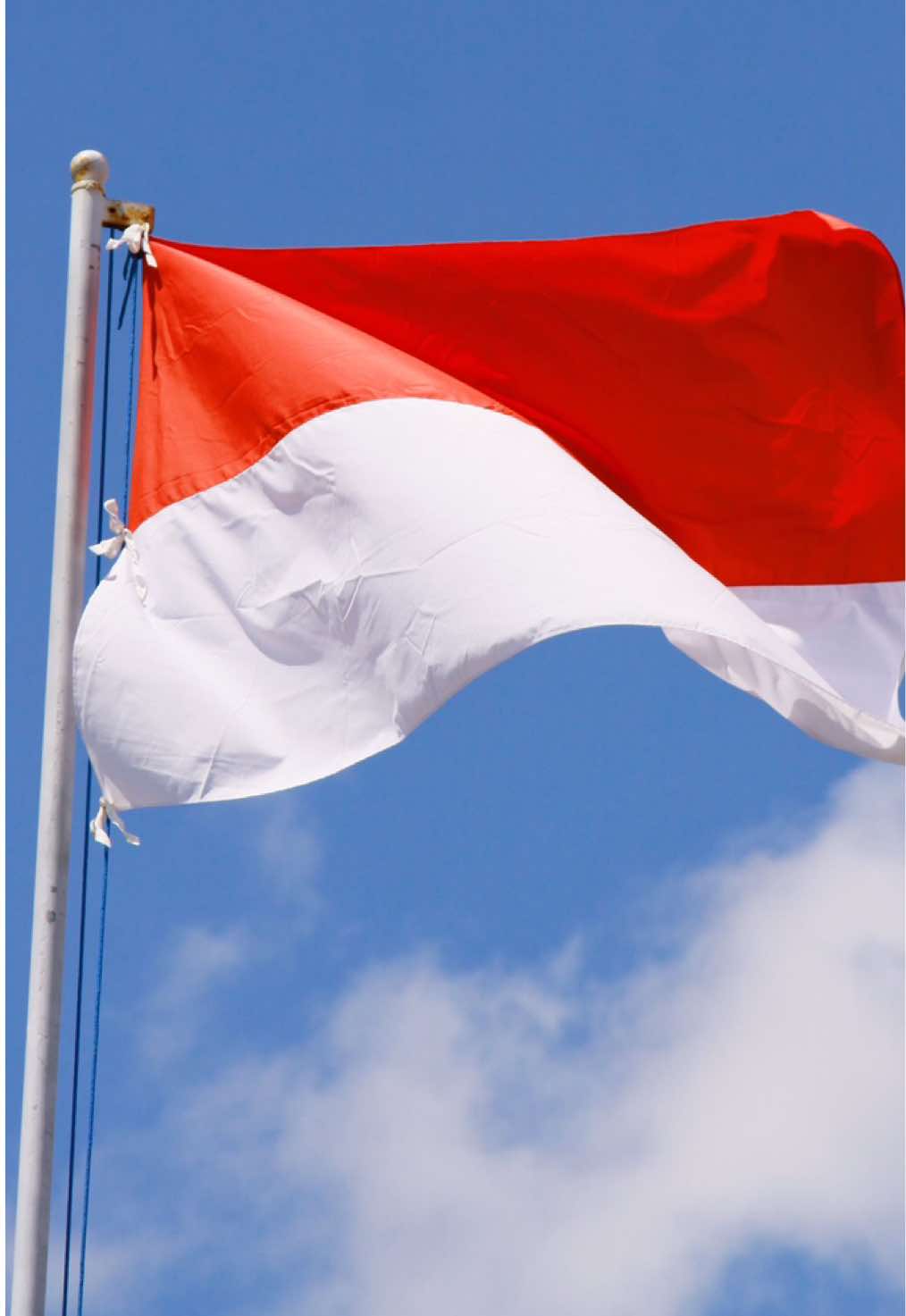 Hisroty of Indonesia🇮🇩                   #History #shortstory #shorttiktok #knowledge #highlight #fyp 