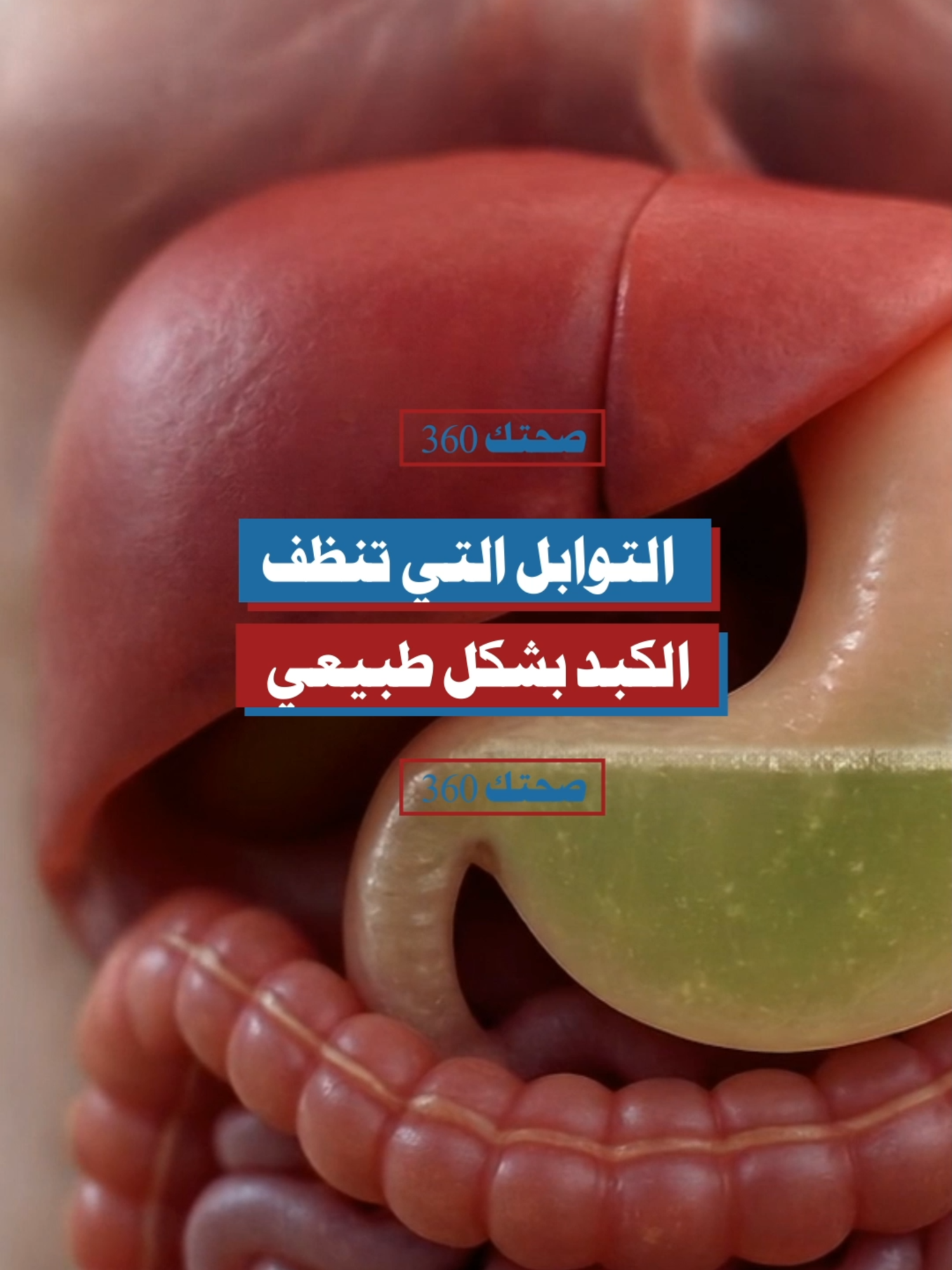توابل مذهلة تذيب دهون الكبد طبيعيا #الكبد #الصحة #التغذية
