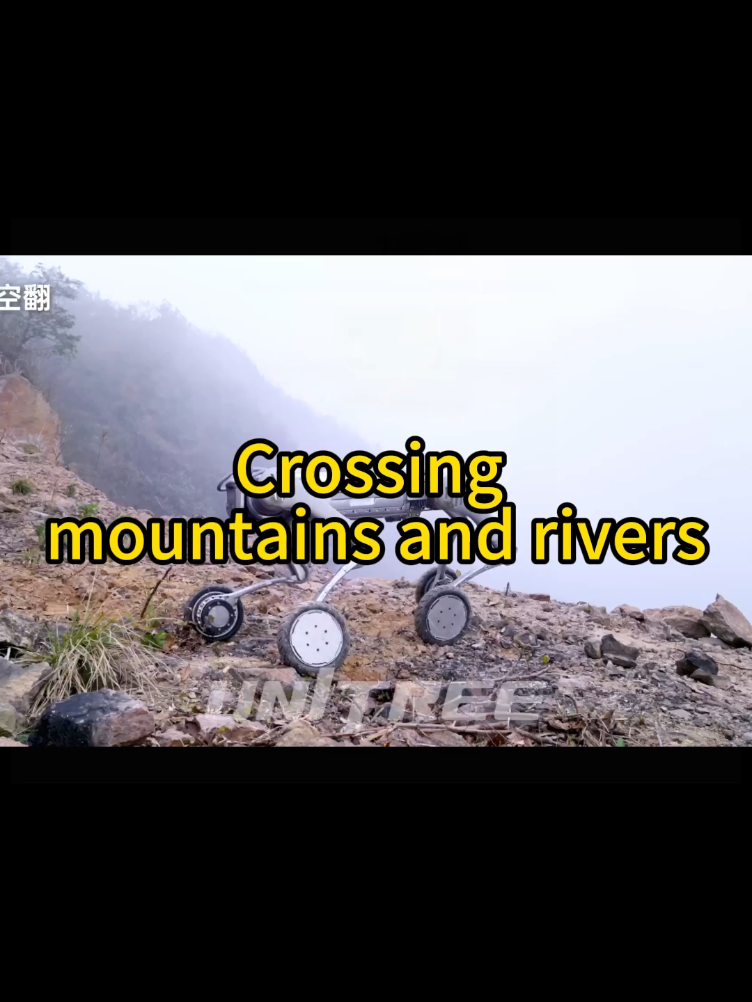 A robot dog that climbs mountains and crosses hills#robot