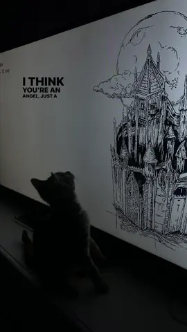 I think she fw lil peep #lilpeep #foryoupage #castles #cats #fyp 