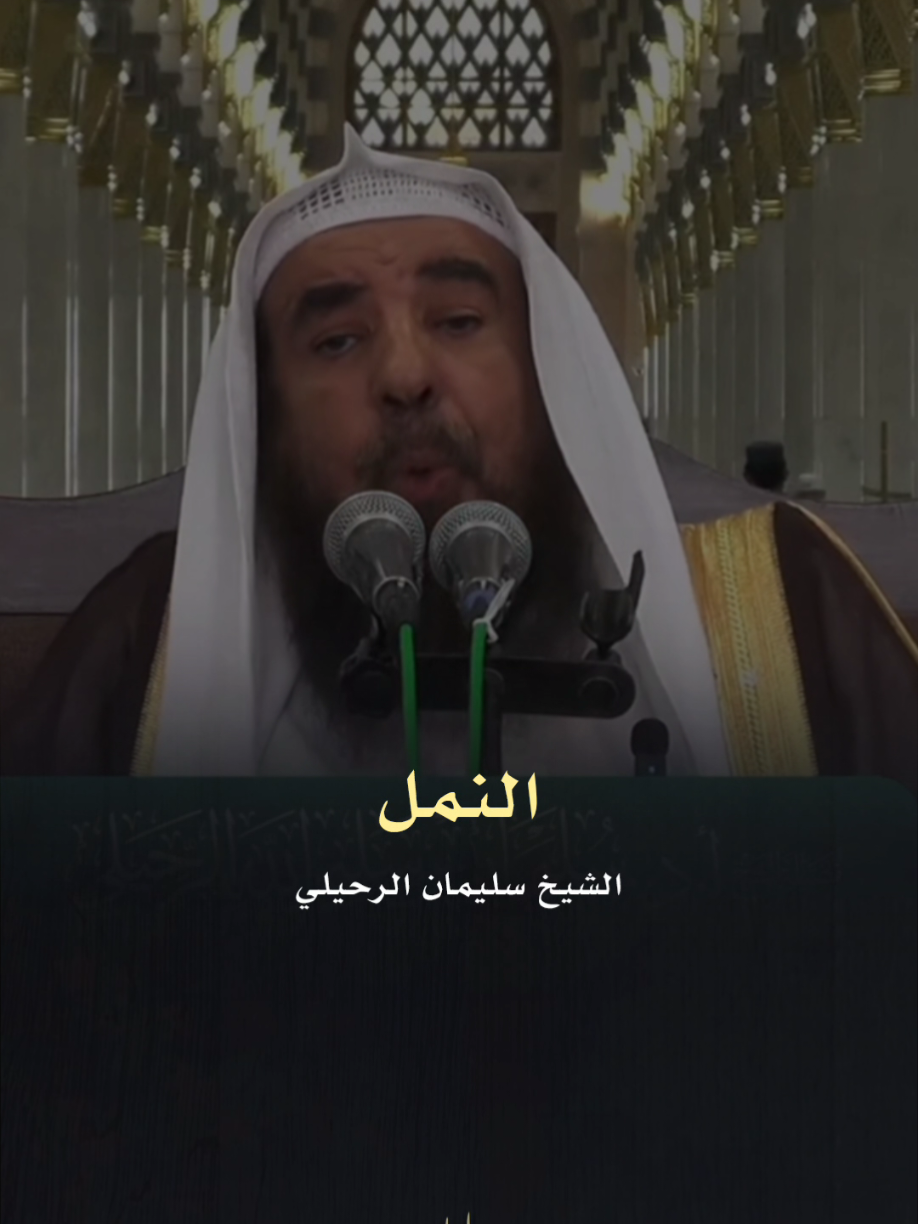 قد يكون النمل الذي في بيتك من الجن! 🐜 | الشيخ سليمان الرحيلي #سليمان_الرحيلي #الشيخ_سليمان_الرحيلي #فائدة_دينية #علم_شرعي #infoburst 