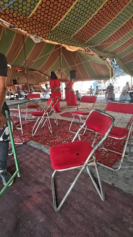 #فنان شعبي محمد ولد عبد هادي وادي زم 