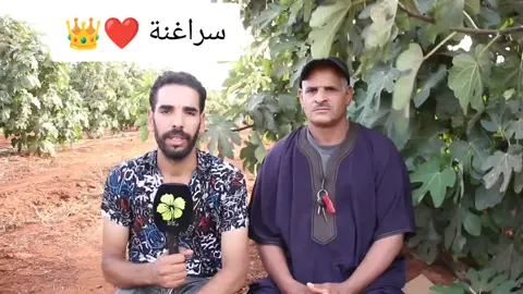 #creatorsearchinsights #سراغنة_🇲🇦🇪🇦🇮🇹 #سراغنة_فأروبا🇲🇦🇪🇦🇮🇹 