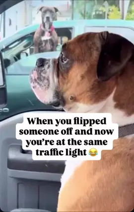 #lightenup 