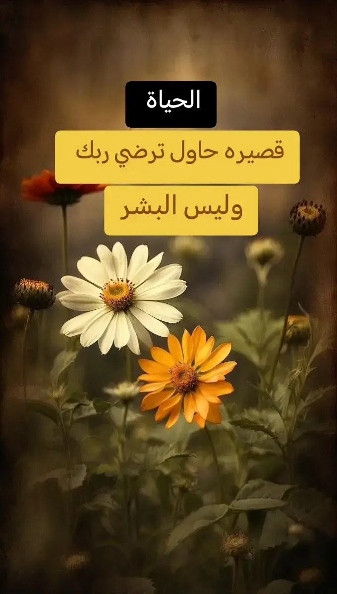 #اكتب_شيء_تؤجر_عليه🌿🕊 #الحمدلله_رب_العالمين #اللهم_صلي_على_نبينا_محمد 