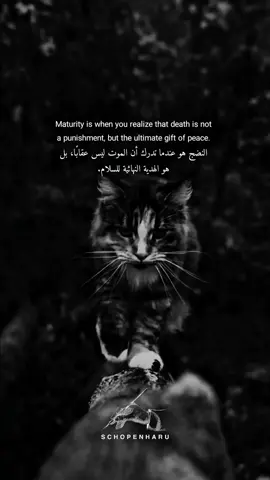 النضج هو عندما تدرك أن الموت ليس عقابًا، بل هو الهدية النهائية للسلام. . Maturity is when you realize that death is not a punishment, but the ultimate gift of peace.  . . #نضج #سلام #عقاب #موت #هدية  #maturity #peace #punishment #death #gift 