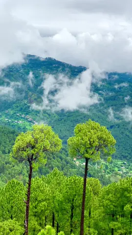 لیکن،سب “دل والے” نہیں ہوتے.❤️‍🩹 Kotli_sattian.🫀#foryou #foryoupage #moinsatti1 #whattowatch #fyp 